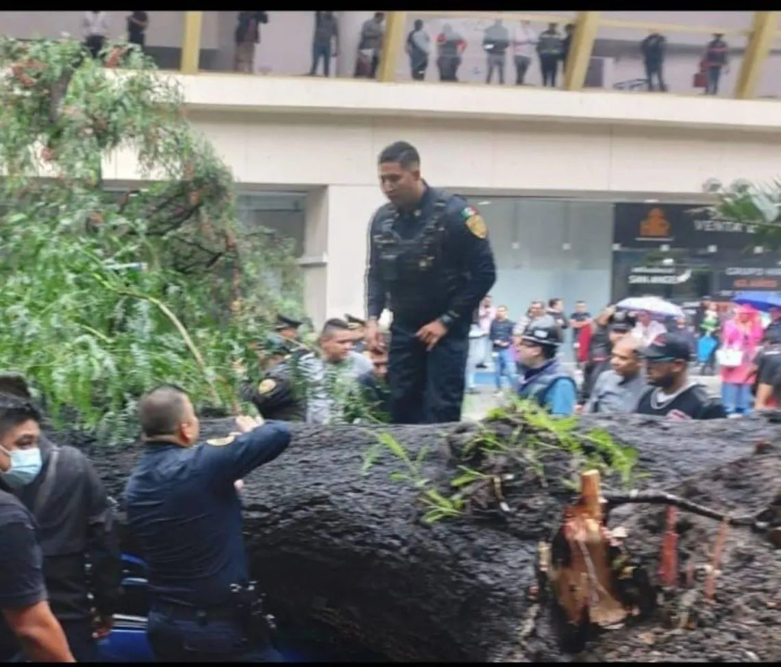[VIDEO] Rescatan a bebé que quedó atrapado tras caída de árbol por lluvia en CDMX; mamá muere