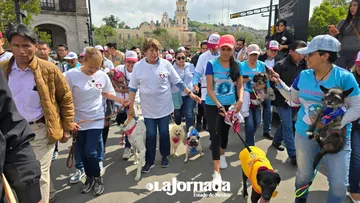 Toluca: Encabeza Delfina Gómez 1er Caminata por el Bienestar Animal