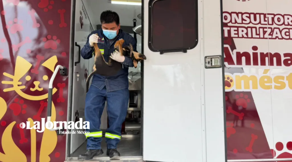 Tecámac estrena quirófano móvil de última generación: 90 cirugías de mascotas al día