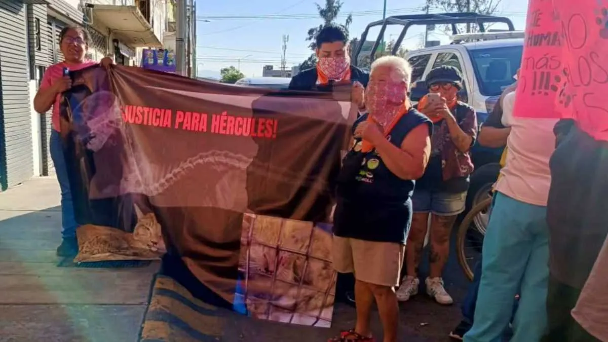 Se disculpa Alonzo’s pizzas por maltrato animal en Nezahualcóyotl