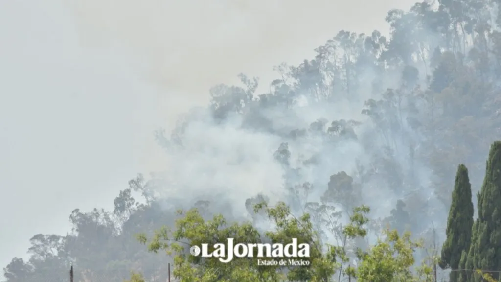 Cerro de La Teresona en Toluca se incendia