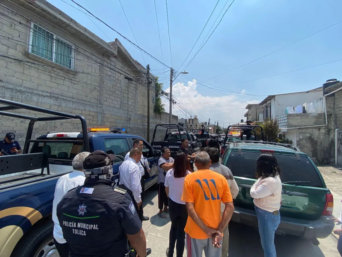 Rescatan a tres perros víctimas de maltrato en Toluca