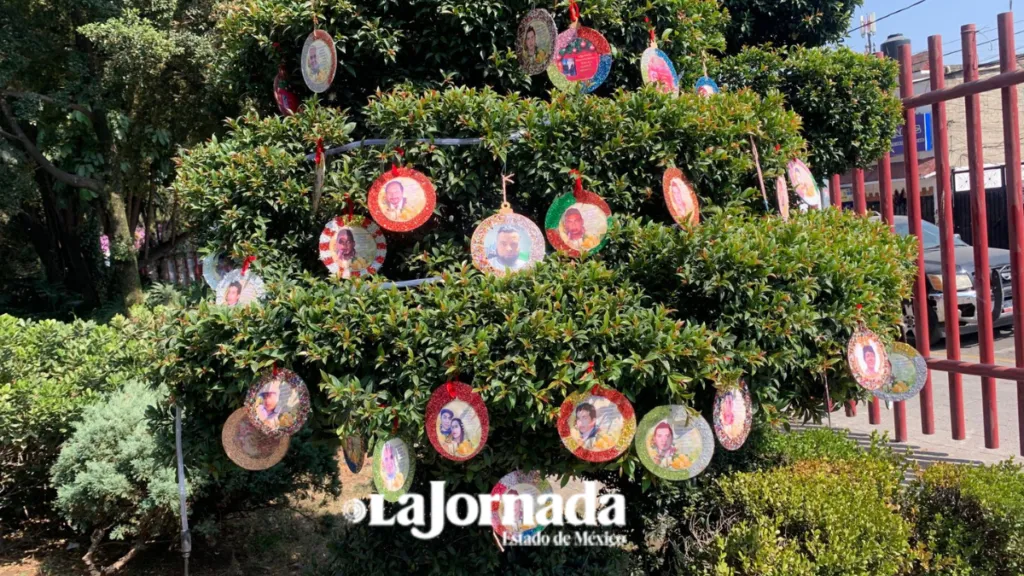 En Ecatepec, el “Árbol de la Esperanza” enciende la memoria de los desaparecidos