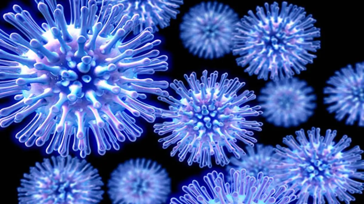 Confirman primer caso de influenza aviar A(H5N1) en México