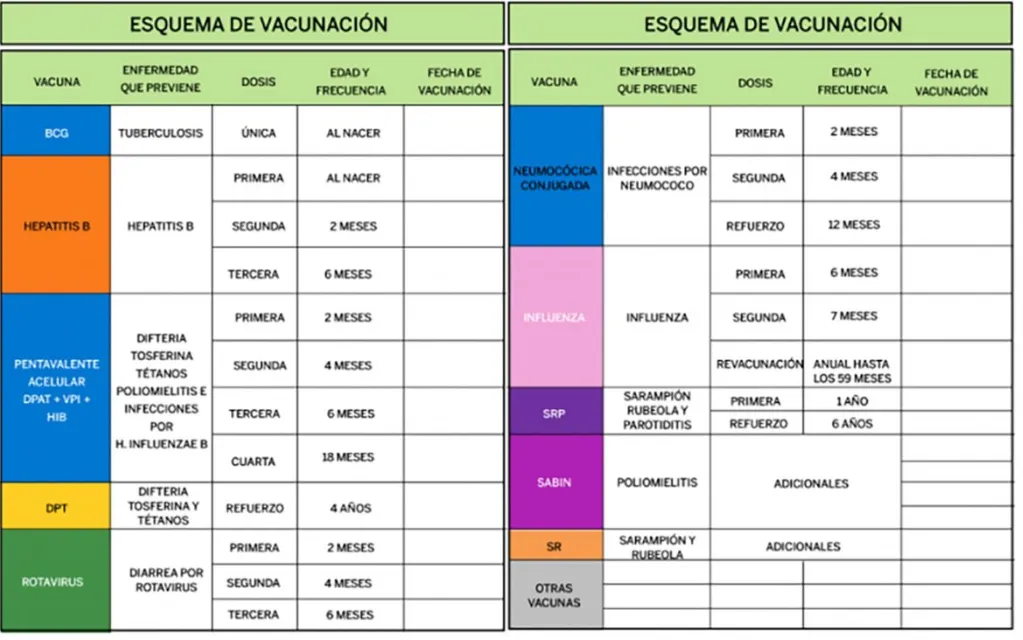 Vacunas que no están marcadas en la Cartilla de Vacunación y son necesarias