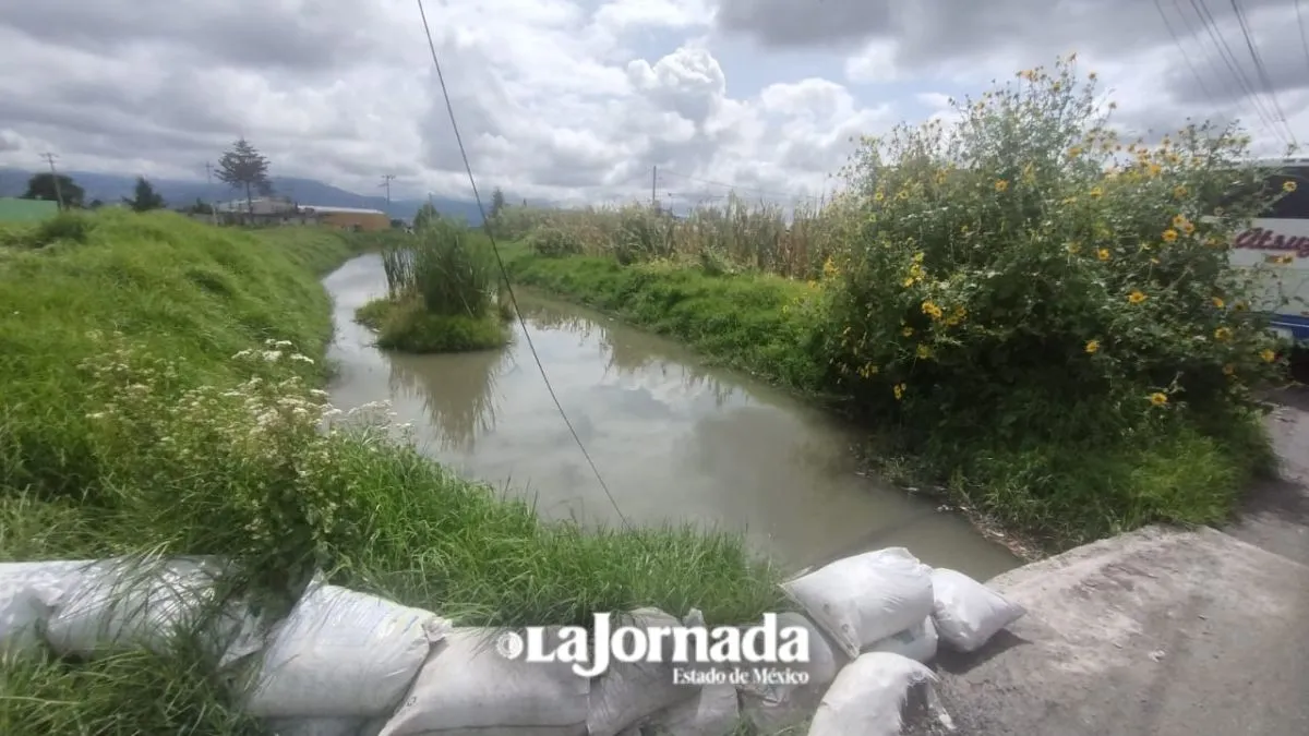 Vecinos de Totoltepec viven con el “agua a las rodillas”