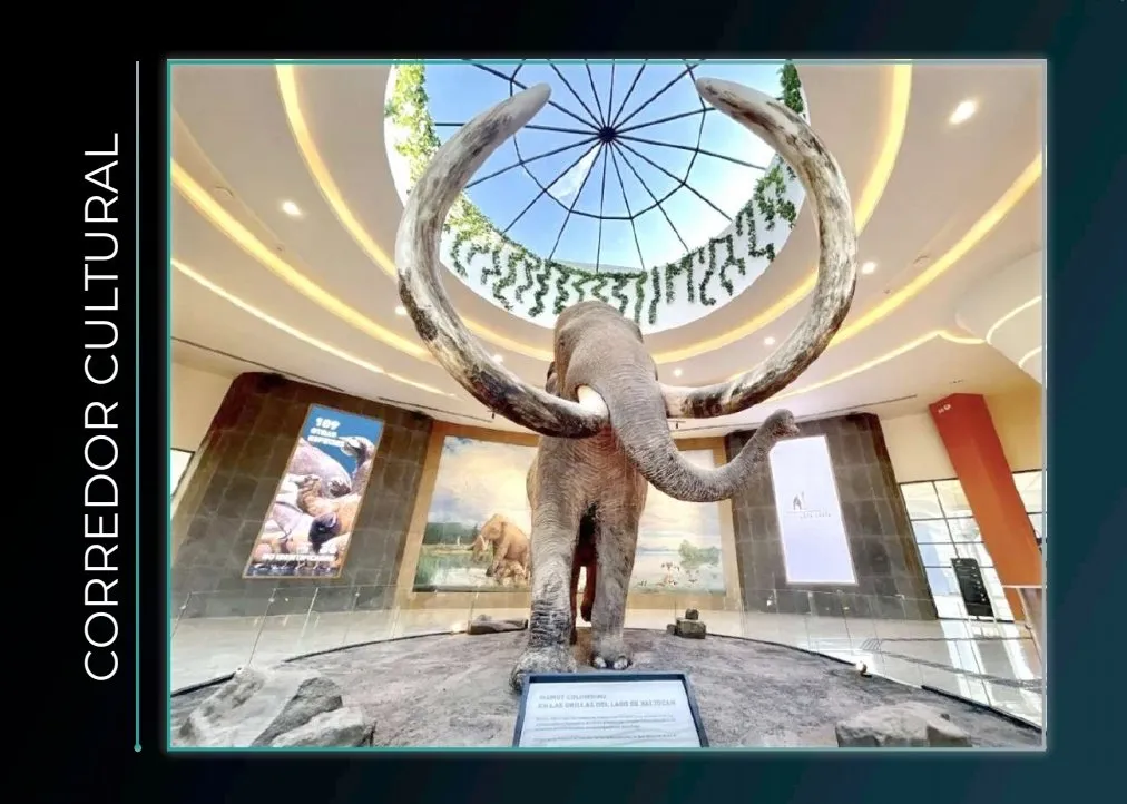 Edomex: Estos son los museos GRATIS que puedes visitar en Semana Santa en el AIFA