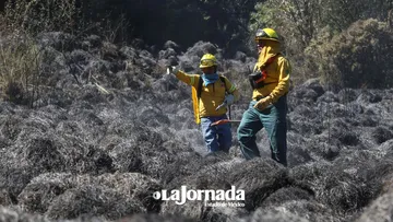 Incendios forestales: Un grave impacto en la salud pública de México