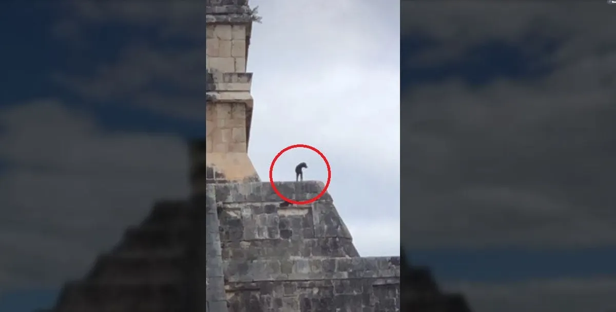 Perrito en Chichén Itzá
