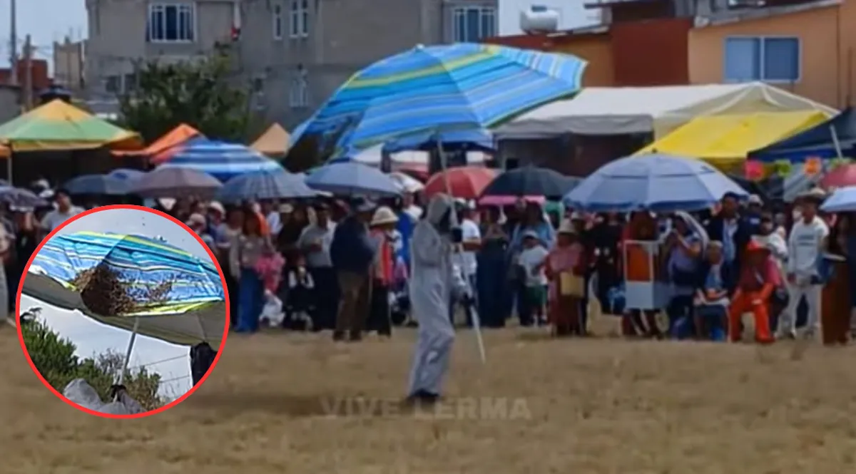 Susto en el Viacrucis de Xonacatlán: Enjambre de abejas interrumpe la procesión