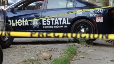 De manera preliminar, las autoridades informaron que la víctima presentaba diversas lesiones y que presuntamente habría sido atacada por una jauría de perros.