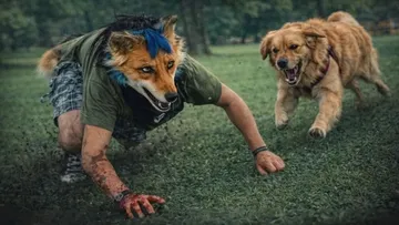Las personas que se identifican como “therian” señalan tener una conexión psicológica o espiritual con un animal no humano, es decir, con una especie distinta al ser humano.