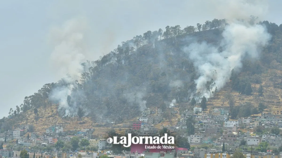 Cerro de La Teresona en Toluca se incendia