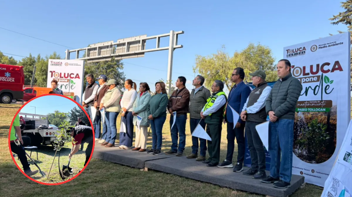 Bosques Urbanos: Edomex plantará 1.8 millones de árboles en avenidas y carreteras