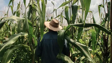 Más de 4 mil personas se inscriben a programas de apoyo al campo mexiquense