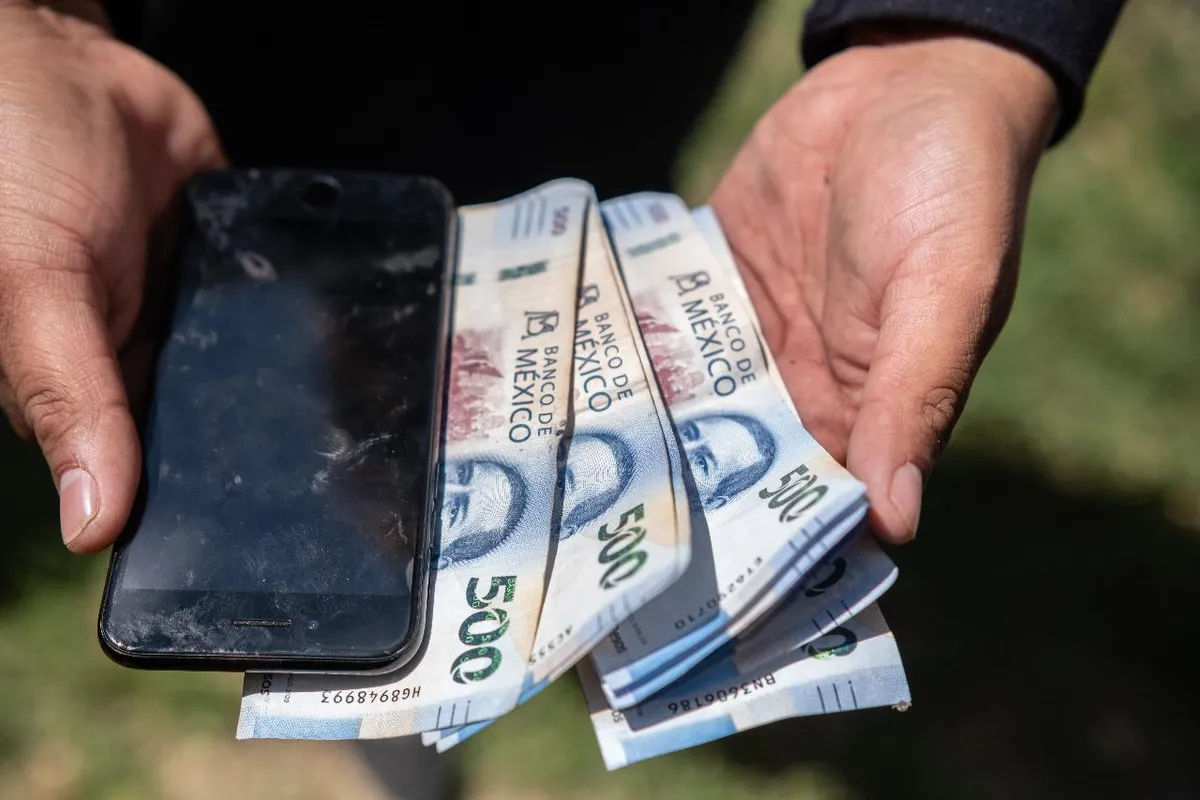 Ladrón trata de escapar trepando árboles en Coacalco, fue detenido