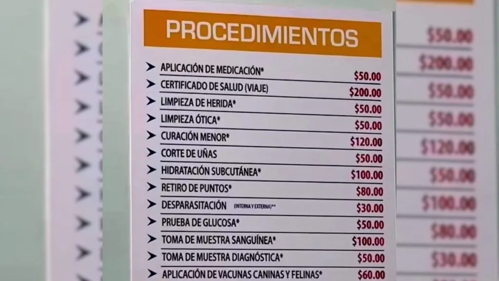 SimiPet abre primera sucursal en Toluca: Ubicación, costos y servicios
