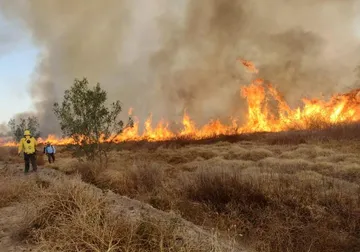 Brigadas trabajan para sofocar el incendio forestal en el Nevado de Toluca
