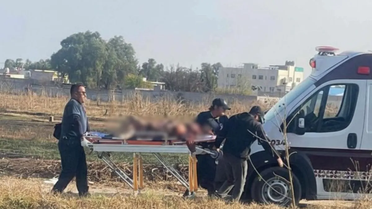 Jauría de perros ataca a dos vecinos en Zumpango