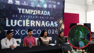 Texcoco alista Festival Internacional de Luciérnagas 2026