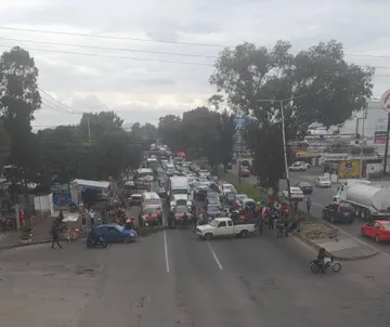 Texcoco: Vecinos se confrontan por la tala de un árbol