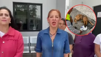 Señalaron que la falta de insumos limita la atención en la Unidad Municipal de Protección Animal ante la creciente problemática de perros y gatos en situación de calle.