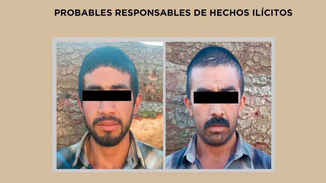 Edomex: Dos detenidos por transportar rollos de madera