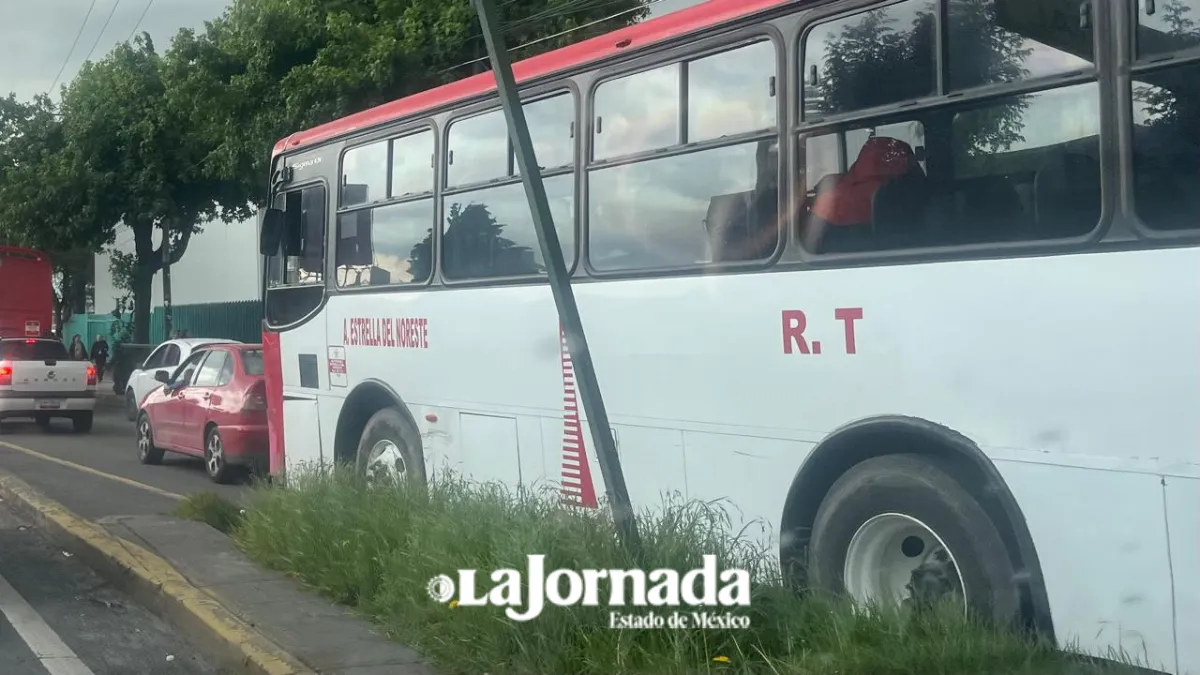 Transporte irregular persiste por fallas en Portal de trámites: Sibaja