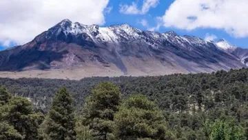 Bosques del Edomex se pierden por cambio de uso de suelo: SNMF