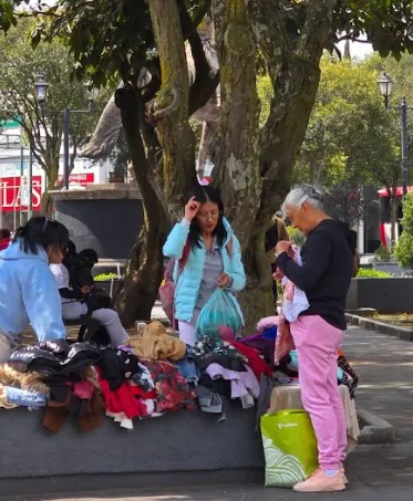 El “Imperio de las Nenis”: La transformación económica del Jardín Bolívar en Toluca