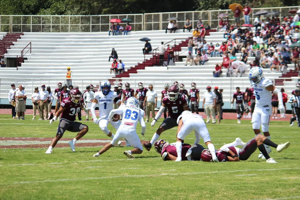 Borregos Estado de México deja ir importante triunfo ante Águilas Blancas