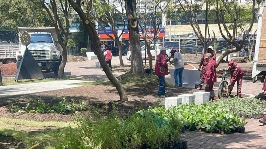 Toluca acaba con plagas de ratas; atenderán Parque Urawa