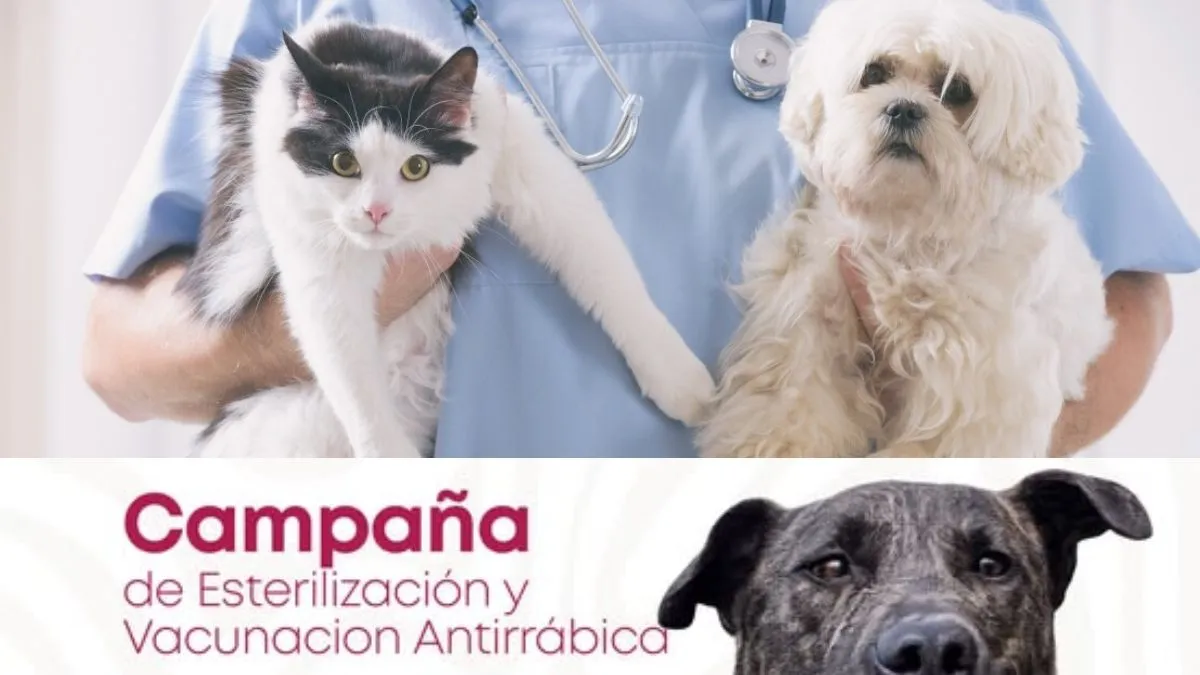 San Buenaventura anuncia jornada de esterilización y vacunación. Aquí todos los detalles