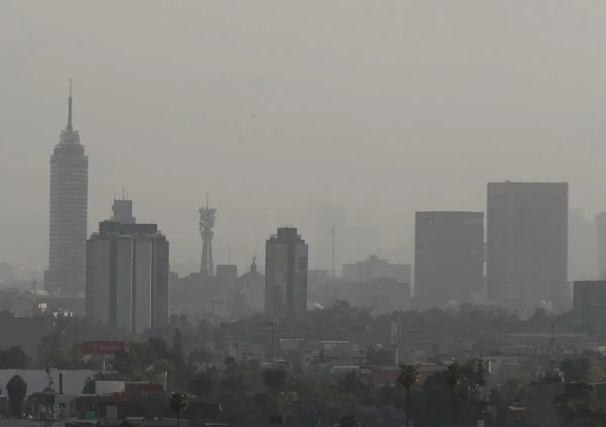 La medida busca reducir la exposición de la población a la contaminación y disminuir la generación de precursores de ozono.