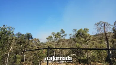 Comunidades se organizan para sofocar incendio en Ameyalco
