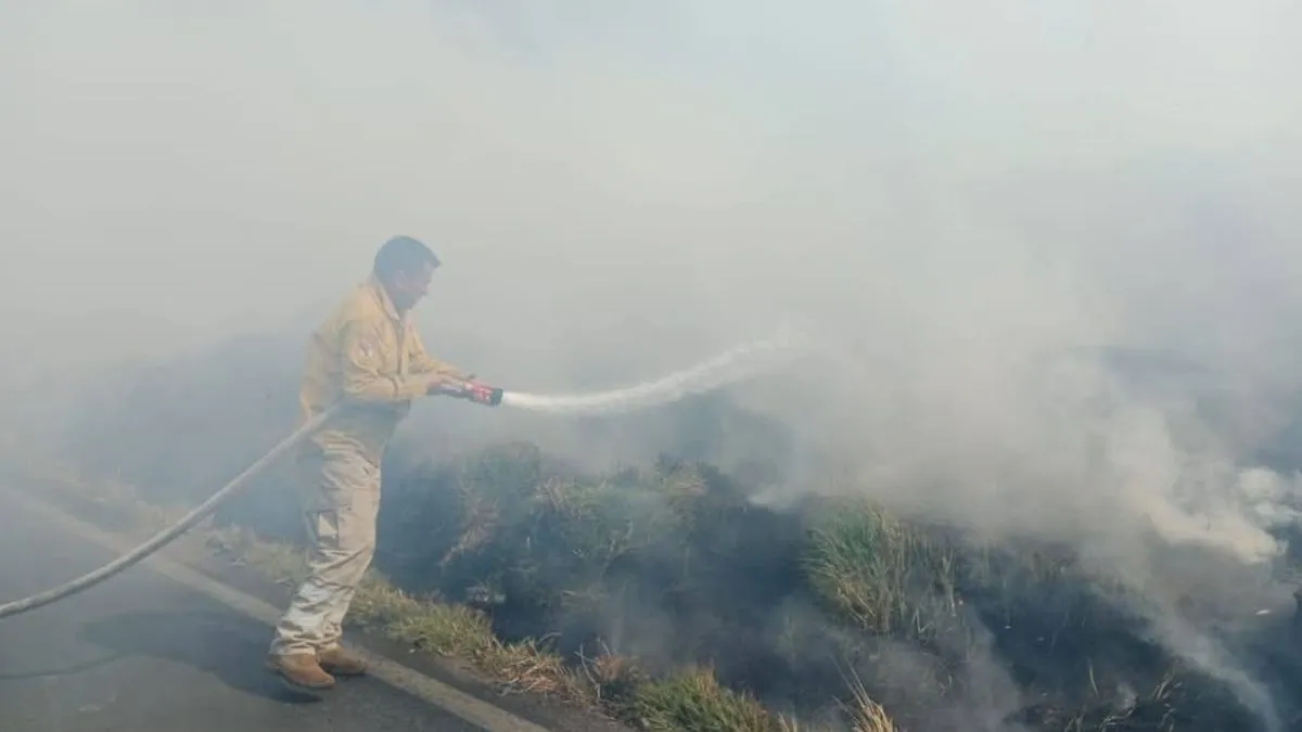 Incendios de pastizales aumentan en Amecameca
