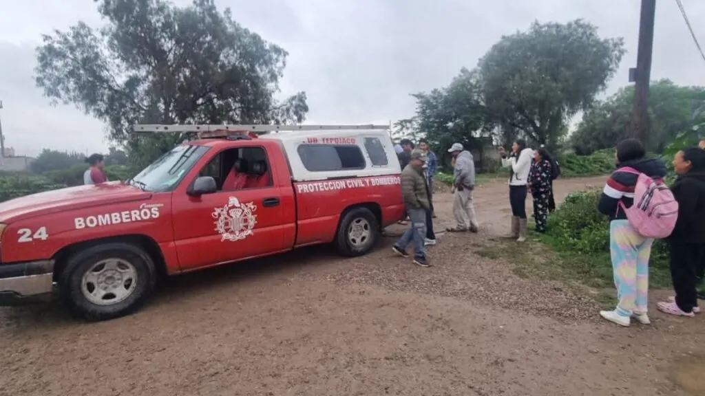 Cocodrilo aparece en calles de Cuautitlán Izcalli; autoridades lo aseguran