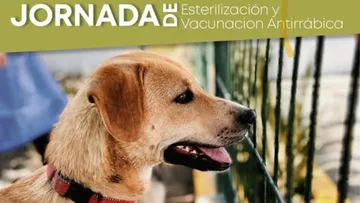 Campaña de esterilización gratis en San Lorenzo Tepaltitlán. Aquí los detalles
