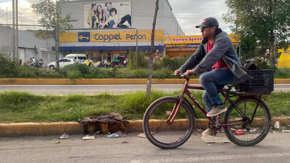 Colectivos ciclistas desarrollan “derrapón” primera app para atender accidentes