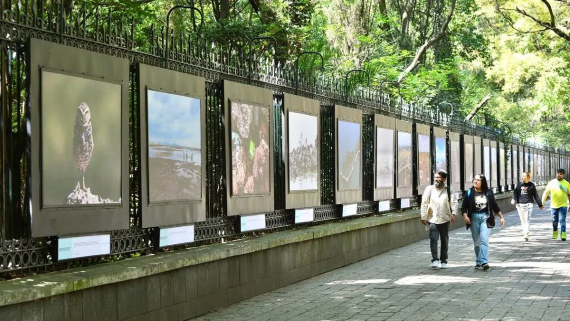 Proyecto del Parque Ecológico Lago Texcoco será un orgullo para mexiquenses: Horacio Duarte