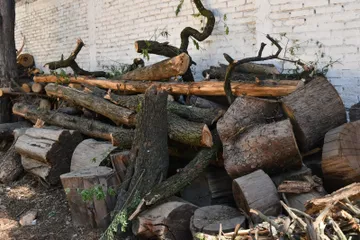 Vecinos de Santiago Tlacotepec y Cacalomacán, en Toluca, denunciaron tala clandestina en el paraje conocido como Dos Ríos.