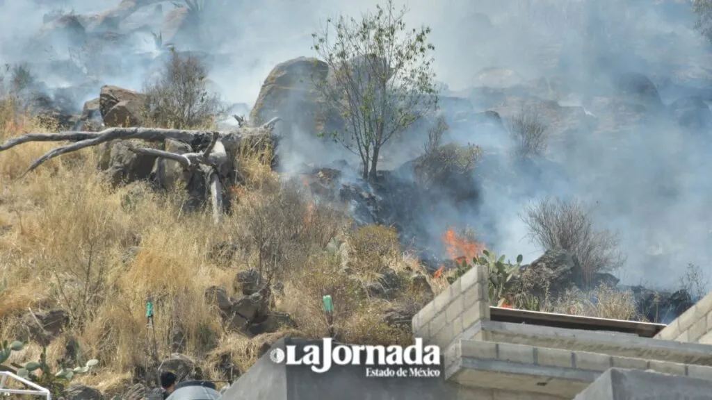 Cerro de La Teresona en Toluca se incendia