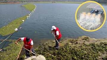 Cuautitlán Izcalli aplica tratamiento para sanear micro lagunas del Lago de Guadalupe