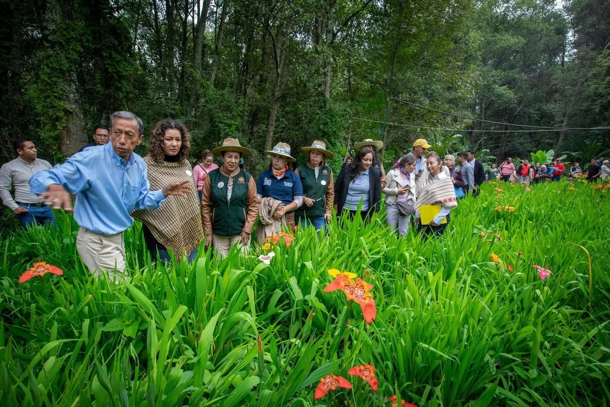 Centro Universitario Tenancingo celebra 20 años con Festival de las Tigridias
