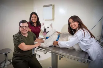Centro Universitario Amecameca ofrece servicios médicos veterinarios de calidad