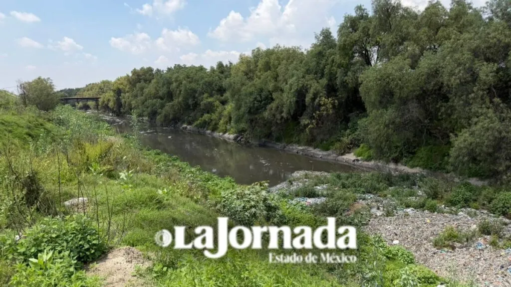 Basura acumulada en el Gran Canal complica búsqueda de desaparecidos