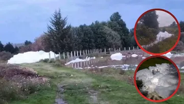 Eutrofización, una consecuencia posible de los químicos vertidos en río de El Oro