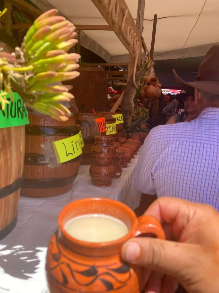 Finaliza la 13 feria del pulque, una herencia generacional de Jiquipilco