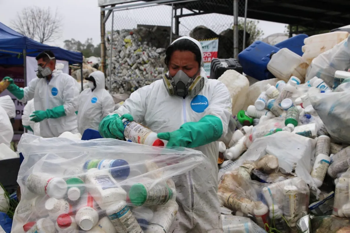 Edomex: recolecta más de 38 toneladas de envases agroquímicos para prevenir contaminación