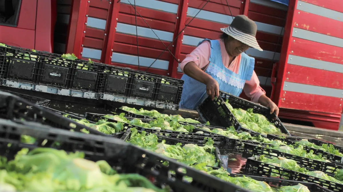 Sin la horticultura nuestras comidas no tendrían sabor ni variedad
